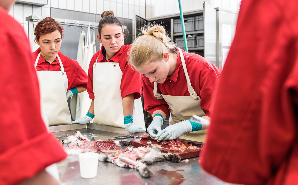 Ausbildungsprogramm FVH für Tierpathologie